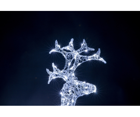 G48 9937302